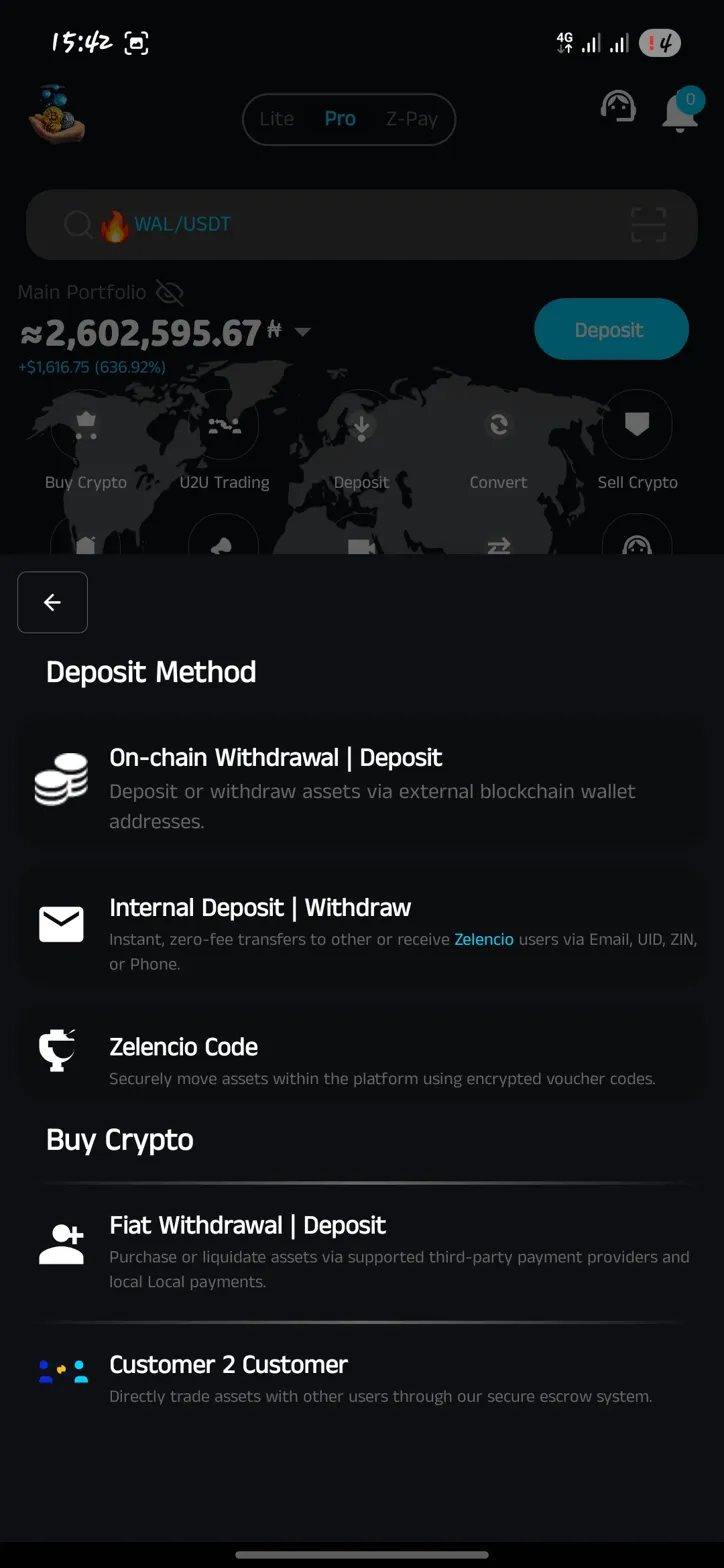Professional Trading Interface